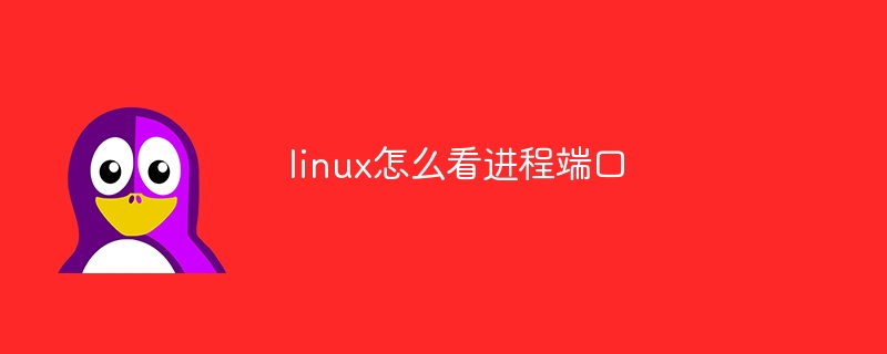 linux怎么看进程端口（怎么看.端口.进程.linux...）