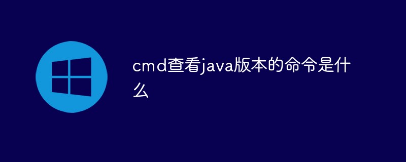 go语言开发的软件有哪些好用（好用.语言.有哪些.开发.软件...）