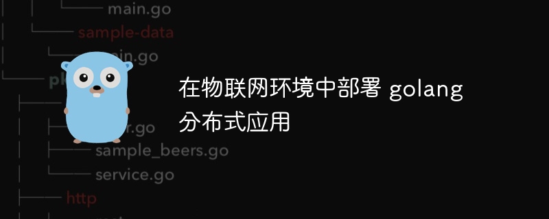 在物联网环境中部署 golang 分布式应用（分布式.联网.部署.环境.golang...）