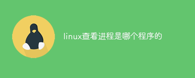 linux查看进程是哪个程序的（进程.程序.查看.是哪个.linux...）