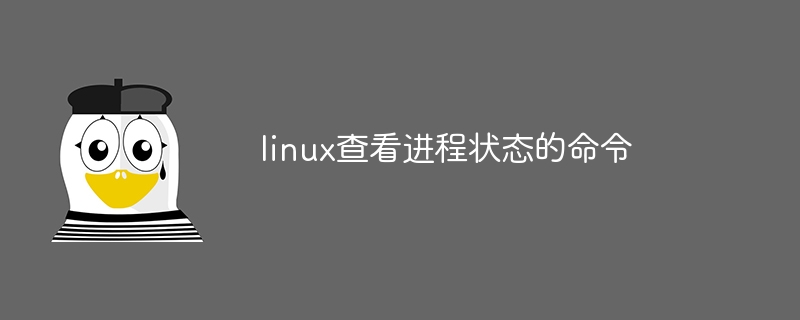 linux查看进程状态的命令（进程.命令.状态.查看.linux...）