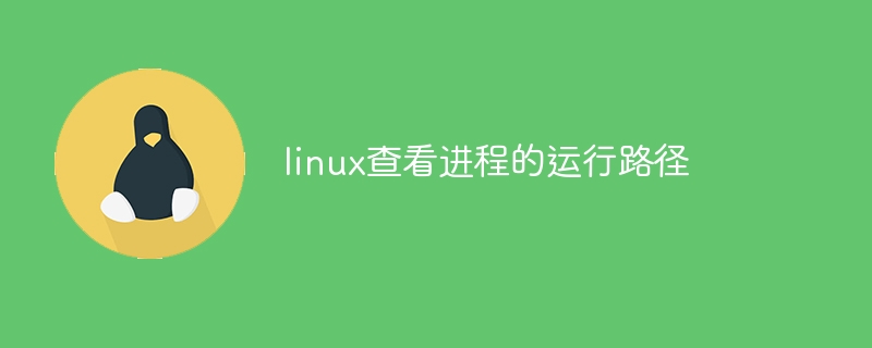 nginx怎么启动后台包
