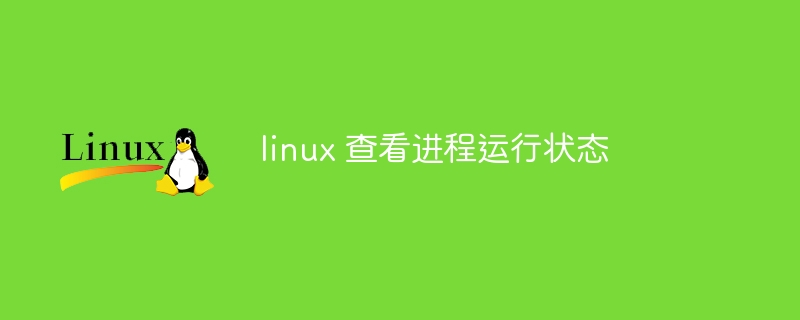 linux 查看进程运行状态（运行状态.进程.查看.linux...）