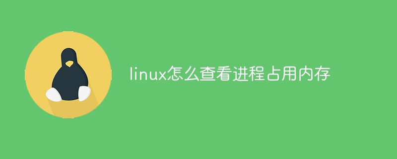 linux怎么查看进程占用内存（占用.进程.内存.查看.linux...）