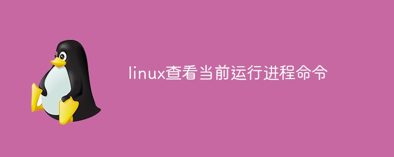 nginx端口怎么用（端口.nginx...）
