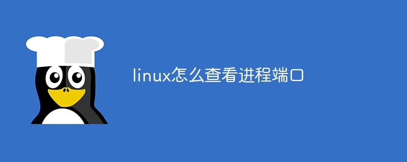 linux怎么查看进程端口（端口.进程.查看.linux...）