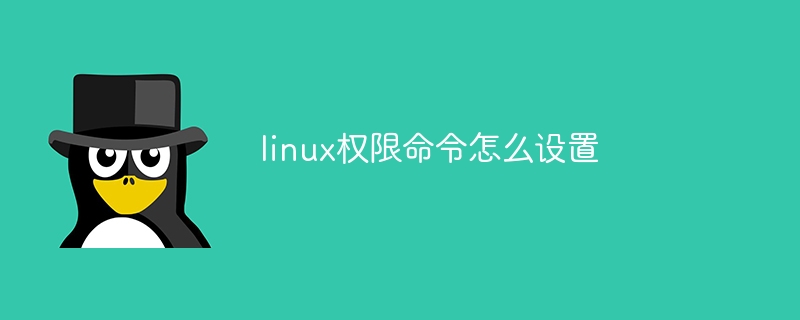 linux权限命令怎么设置(命令.权限.设置.linux...)