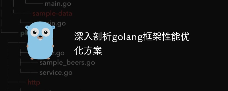 深入剖析golang框架性能优化方案(剖析.框架.优化.性能.方案...)