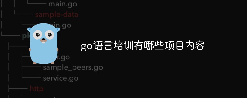 go语言培训有哪些项目内容