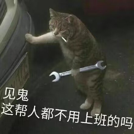 PHP 函数中如何使用类型提示来指定变量类型?(类型.如何使用.变量.函数.指定...)