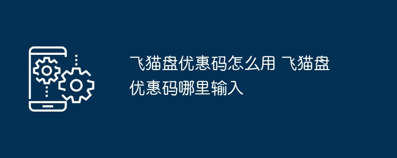 飞猫盘优惠码怎么用 飞猫盘优惠码哪里输入