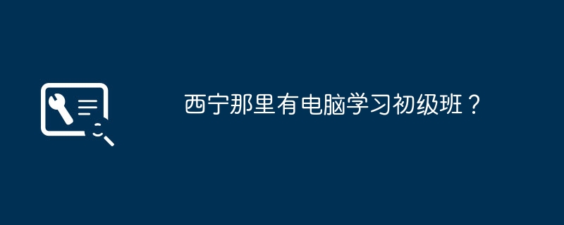 西宁那里有电脑学习初级班？