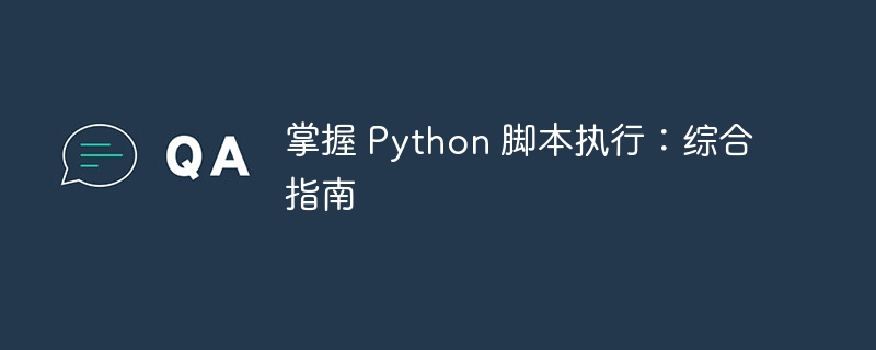 掌握 Python 脚本执行：综合指南（脚本.执行.指南.综合.Python...）