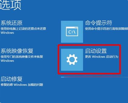 Win10预览计划空白怎么办 Win10预览计划空白的解决方法