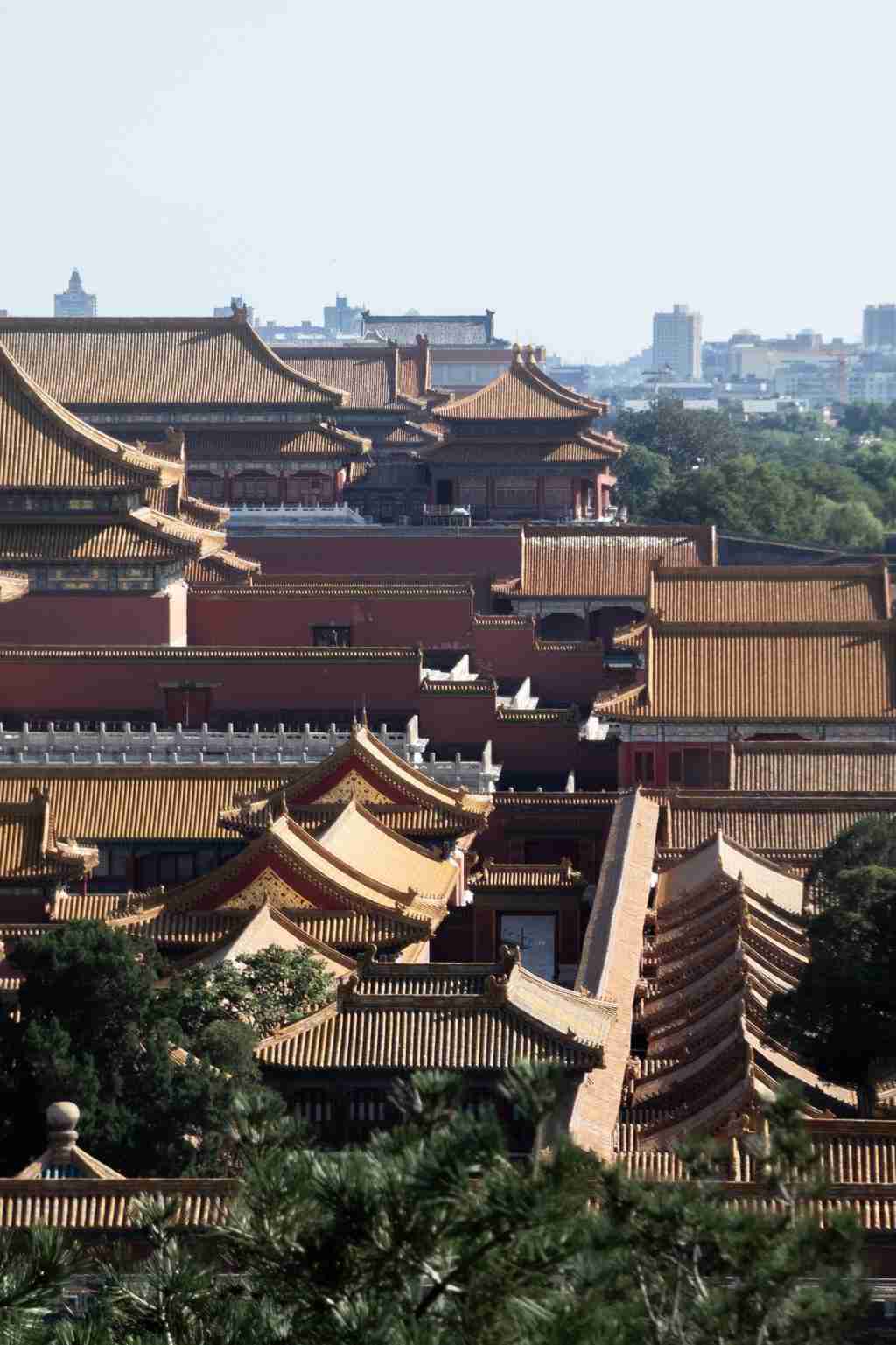 实况照片功能是什么(实况.功能.照片)