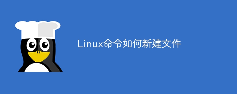 Linux命令如何新建文件（新建.命令.文件.Linux...）