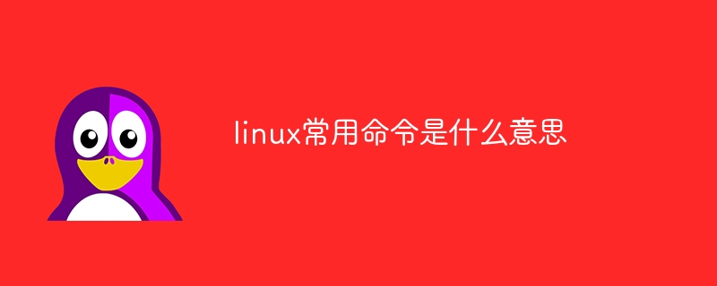 linux常用命令是什么意思（常用命令.linux...）