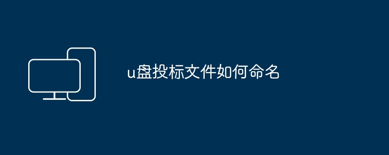 u盘投标文件如何命名（投标文件.命名）