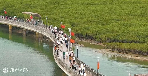 业态多元，热力十足，活力尽显！国庆假期厦门市文旅市场持续“圈粉”(厦门市,热力,尽显,业态,国庆......)