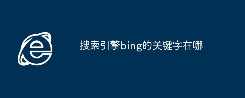 搜索引擎bing的关键字在哪（关键字.搜索引擎.bing）