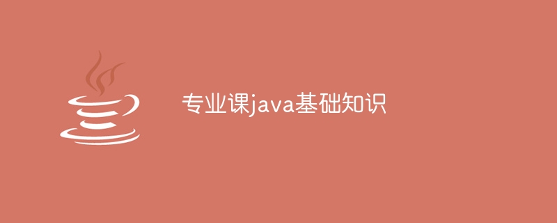 专业课java基础知识（专业课.基础知识.java...）