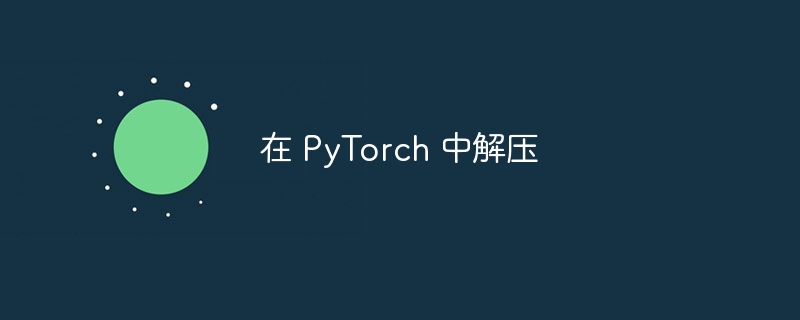 在 PyTorch 中解压(解压.PyTorch...)