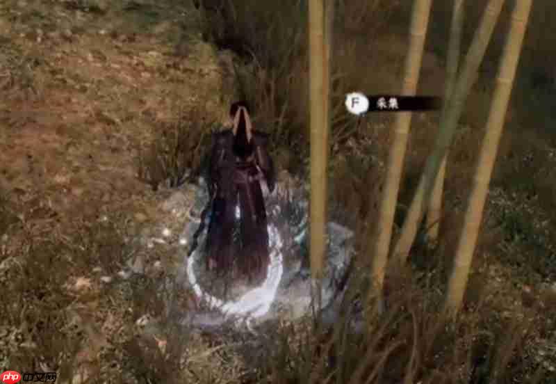 苹果手机无法下载软件（下载软件.苹果.手机）