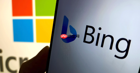为什么ie浏览器打开输入什么都是bing_ie首页被锁定解决方案