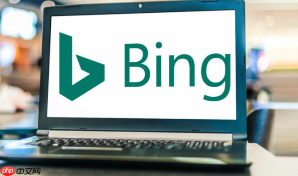 Bing浏览器国际服企业版入口-Bing国际版浏览器教育机构专用下载（浏览器.国际版.企业版）