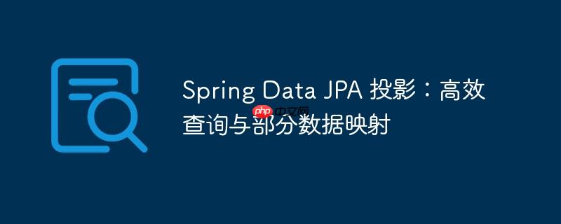 Spring Data JPA 投影：高效查询与部分数据映射
