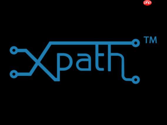 XPath的通配符怎么匹配所有元素？（通配符.匹配.元素.XPath...）