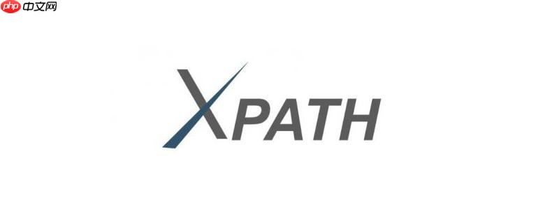 XPath的local-name()函数有什么用？（什么用.函数.XPath.local...）