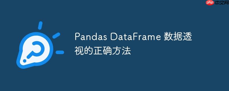 Pandas DataFrame 数据透视的正确方法（透视.正确.方法.数据.Pandas...）