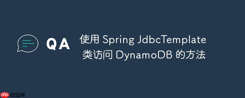 使用 Spring JdbcTemplate 类访问 DynamoDB 的方法（方法.访问.Spring.JdbcTemplate.DynamoDB...）