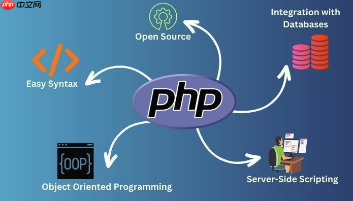 大学生实战 PHP搭配Python爬虫抓取论文资料