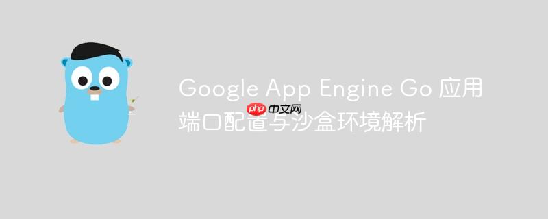 Google App Engine Go 应用端口配置与沙盒环境解析
