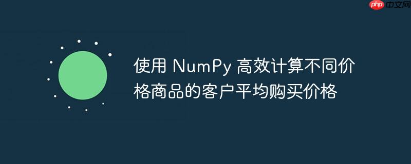 使用 NumPy 高效计算不同价格商品的客户平均购买价格(价格.高效.平均.购买.客户...)