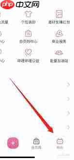 bilibili会员购入口在哪里（购入.会员.bilibili）