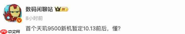 vivo X300 发布时间曝光，大量细节已公布（发布时间.细节.曝光）