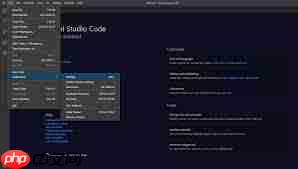 vscode怎么关闭项目文件夹（文件夹.关闭.项目）