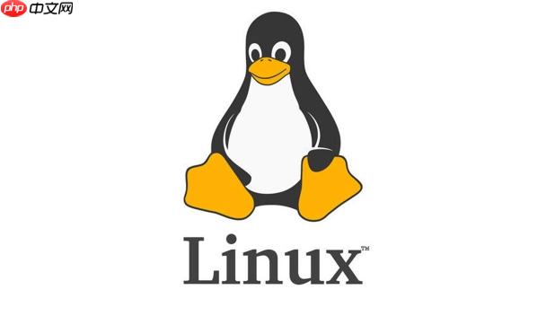 linux如何使用top监控系统进程