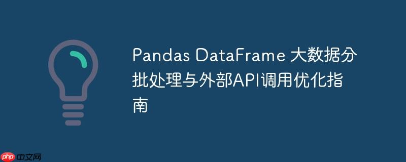 Pandas DataFrame 大数据分批处理与外部API调用优化指南（分批.调用.优化.指南.数据...）