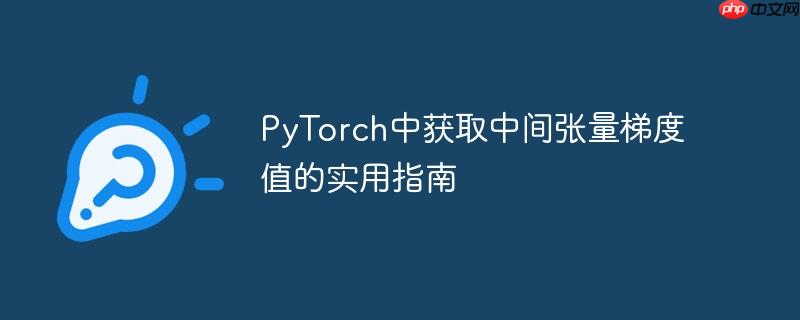 PyTorch中获取中间张量梯度值的实用指南
