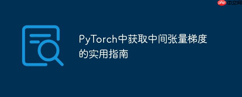 PyTorch中获取中间张量梯度的实用指南
