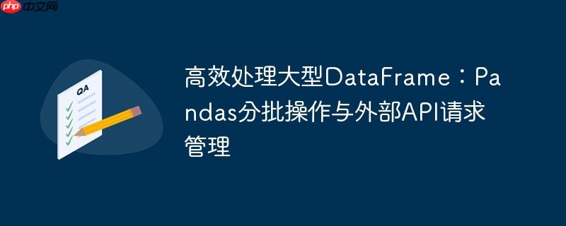 高效处理大型DataFrame：Pandas分批操作与外部API请求管理
