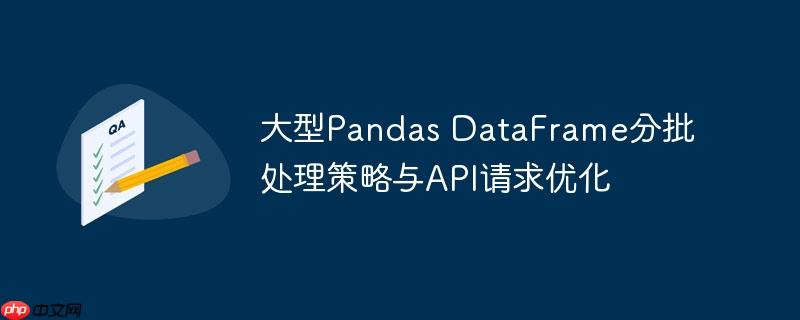 大型Pandas DataFrame分批处理策略与API请求优化

