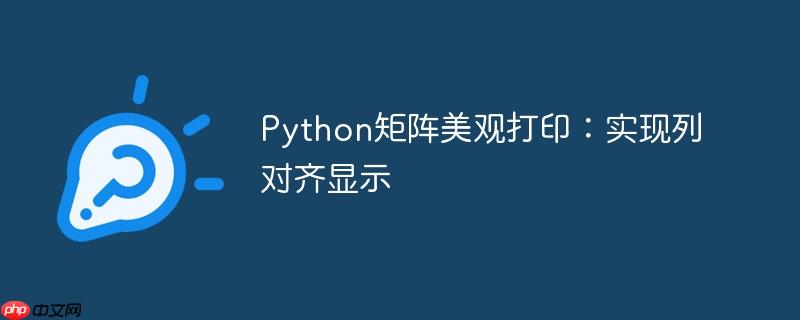 Python矩阵美观打印：实现列对齐显示
