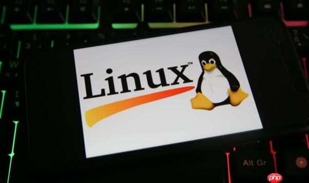 如何在Linux中限制网络带宽？（网络带宽.如何在.Linux...）