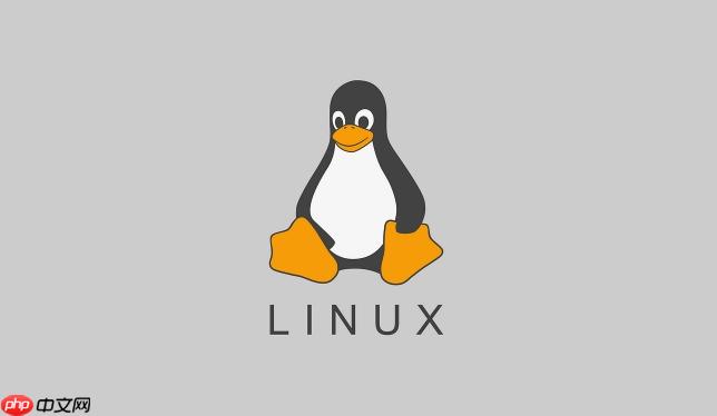 如何在Linux中处理软件包冲突？（软件包.冲突.如何在.Linux...）