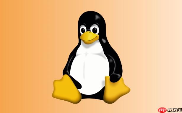 linux命令行常用命令大全，运维必备！